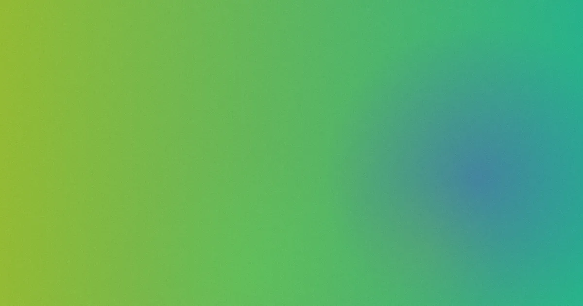 轻舞飞扬怎么用？真实体验版